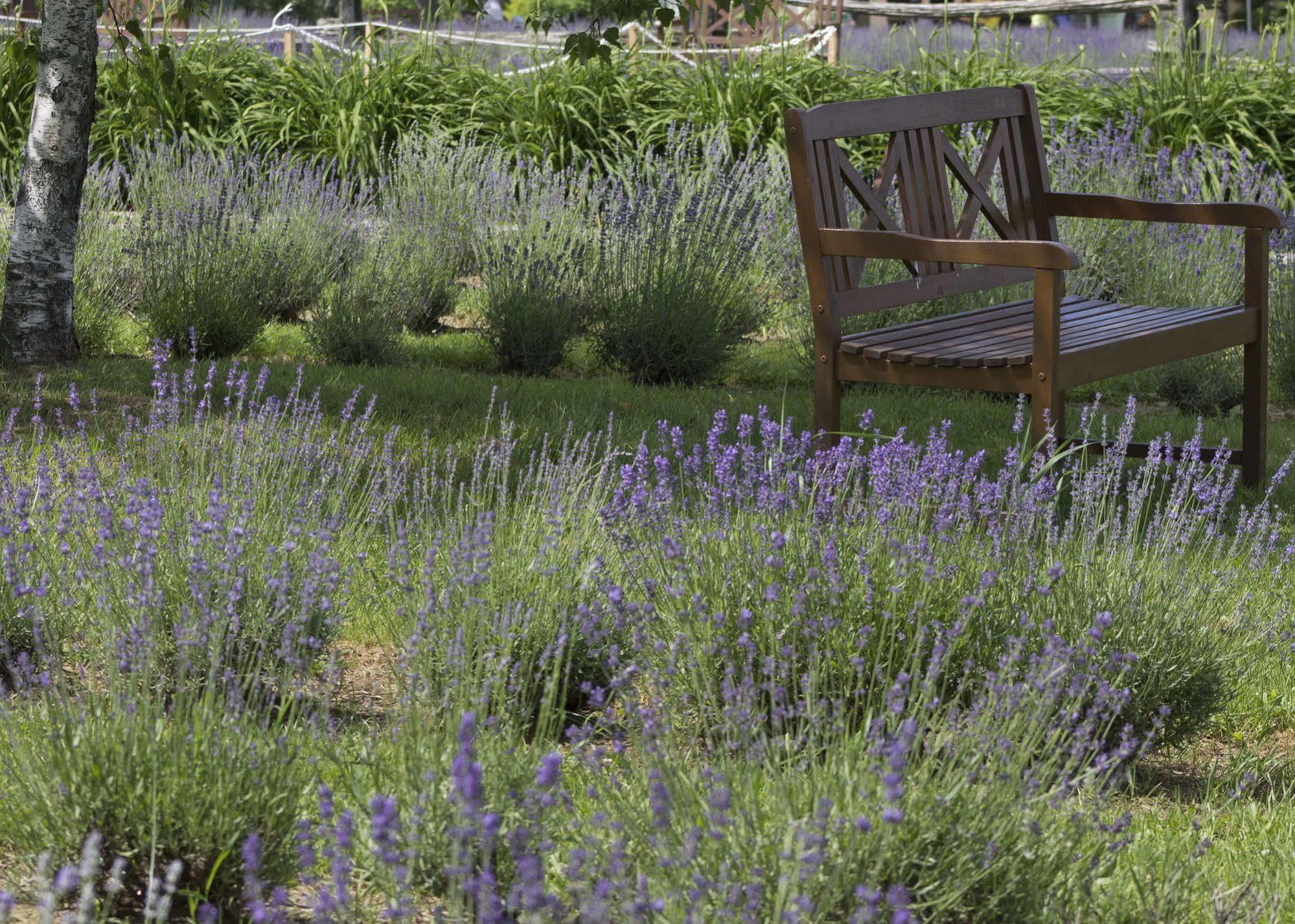 Bed & Breakfast Au Saut Du Lit